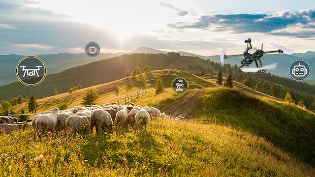 HoverGames 3: Explore How Drones and Rovers Can Help Achieve a Sustainable Food Ecosystem