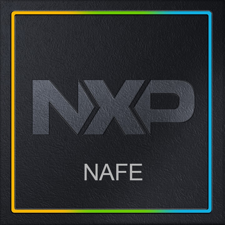 NAFE (NXP Analog Front End) Chip Shot