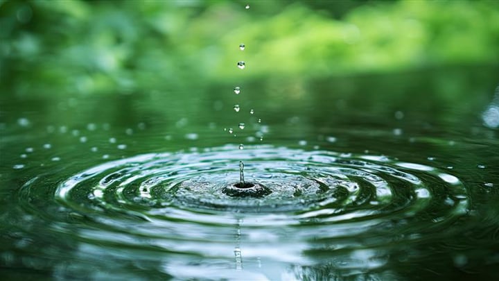 利用AI辅助的pH监测提升水质(图片2)