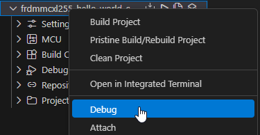 Build and Flash Application Using MCUXpresso for VS Code IDE - step 11