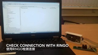 Start Working with Ringo